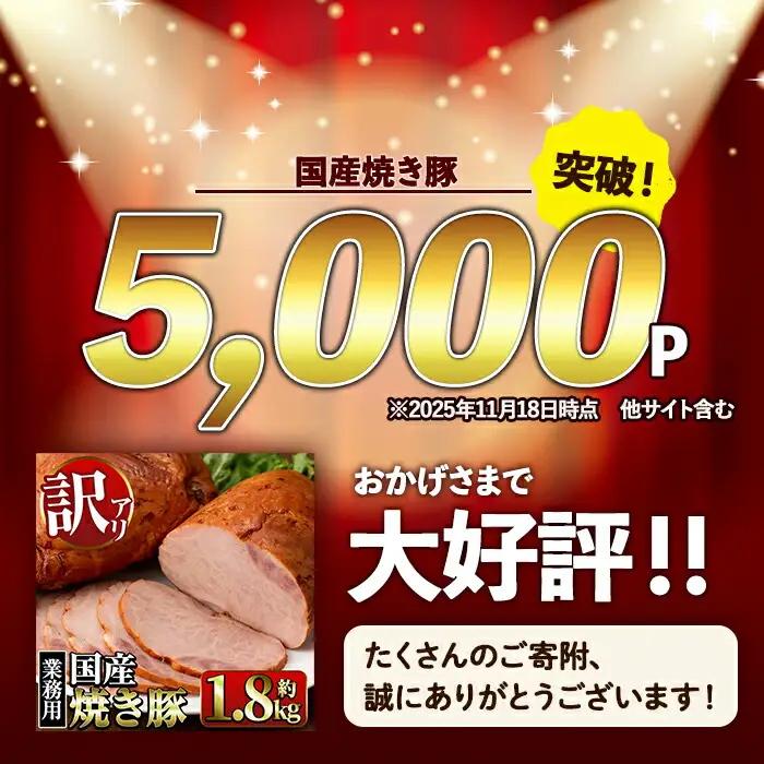 焼き豚 (業務用)  約900g×10P 計9kg 焼豚 チャーシュー 【ナンチク】i1202-B