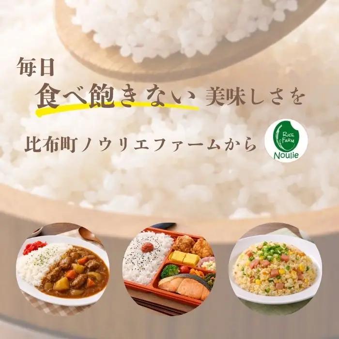 【令和8年産 新米受付】 ななつぼし 玄米 30kg【農業生産法人ノウリエ】米 お米 北海道産 北海道米 特Aランク 国産 コメ 北海道 比布町 ぴっぷ 1017-027