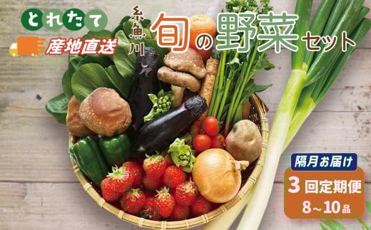 直売所からお届け! 旬の野菜セット【隔月3回お届け】（8～10品詰め合わせ）新鮮な野菜直送 定期便【大根･白菜･春菊･アスパラ菜･しいたけ･ほうれん草･ふきのとう･タラの芽･山菜･にんじん･イチゴ･トマト･きゅうり･ピーマン･ジャガイモ･玉ねぎ･オクラ･枝豆･トウモロコシ･なす･生きくらげ･長ネギ･サツマイモ･里芋】