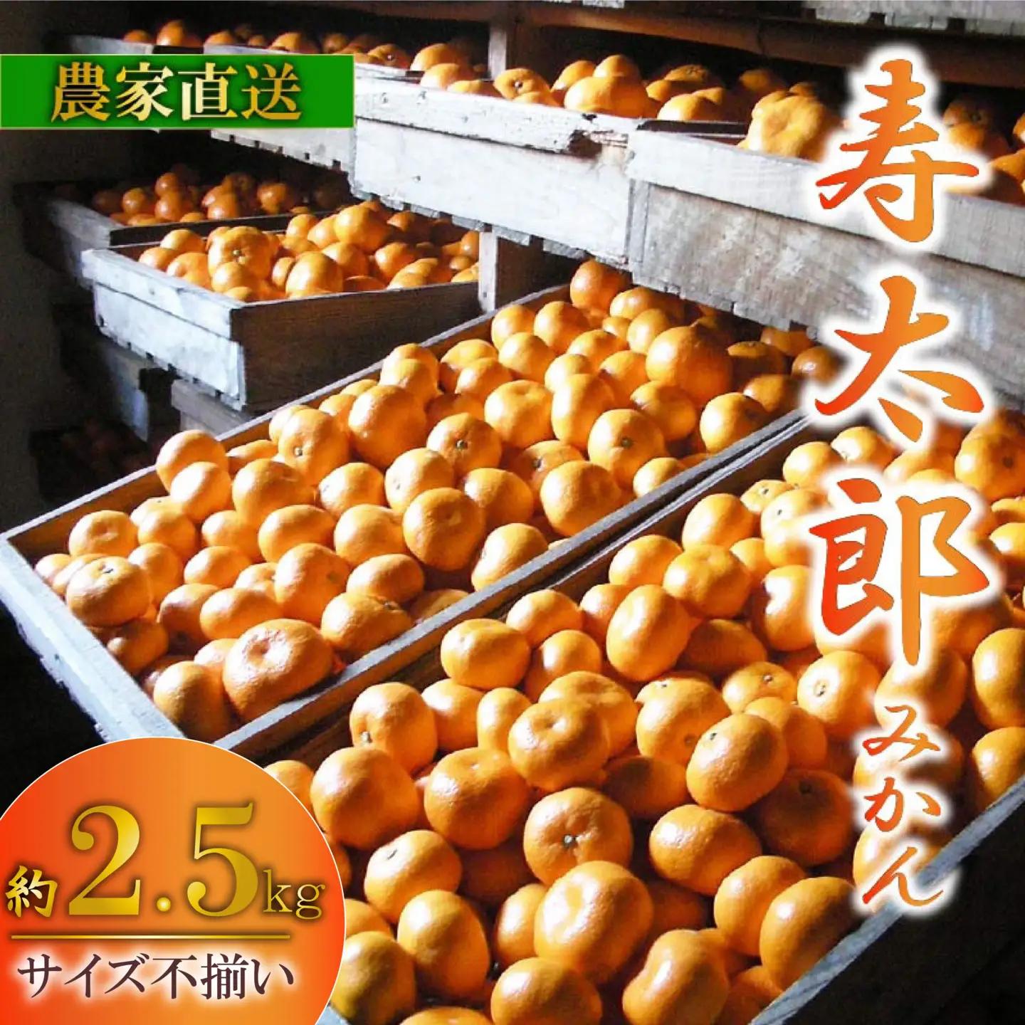 みかん 寿太郎 訳あり 約2.5kg みかん