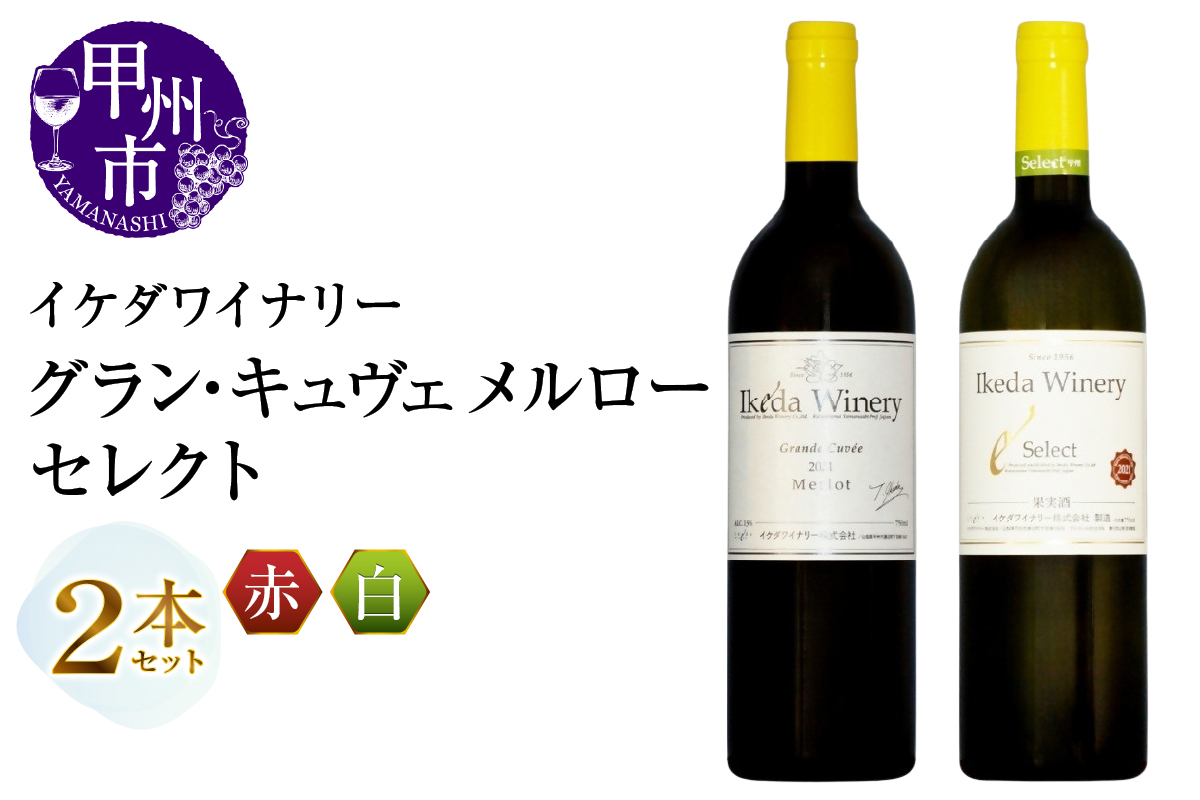 イケダワイナリー 2本セット【グラン・キュヴェ メルロー / セレクト白】（MG）C-1670