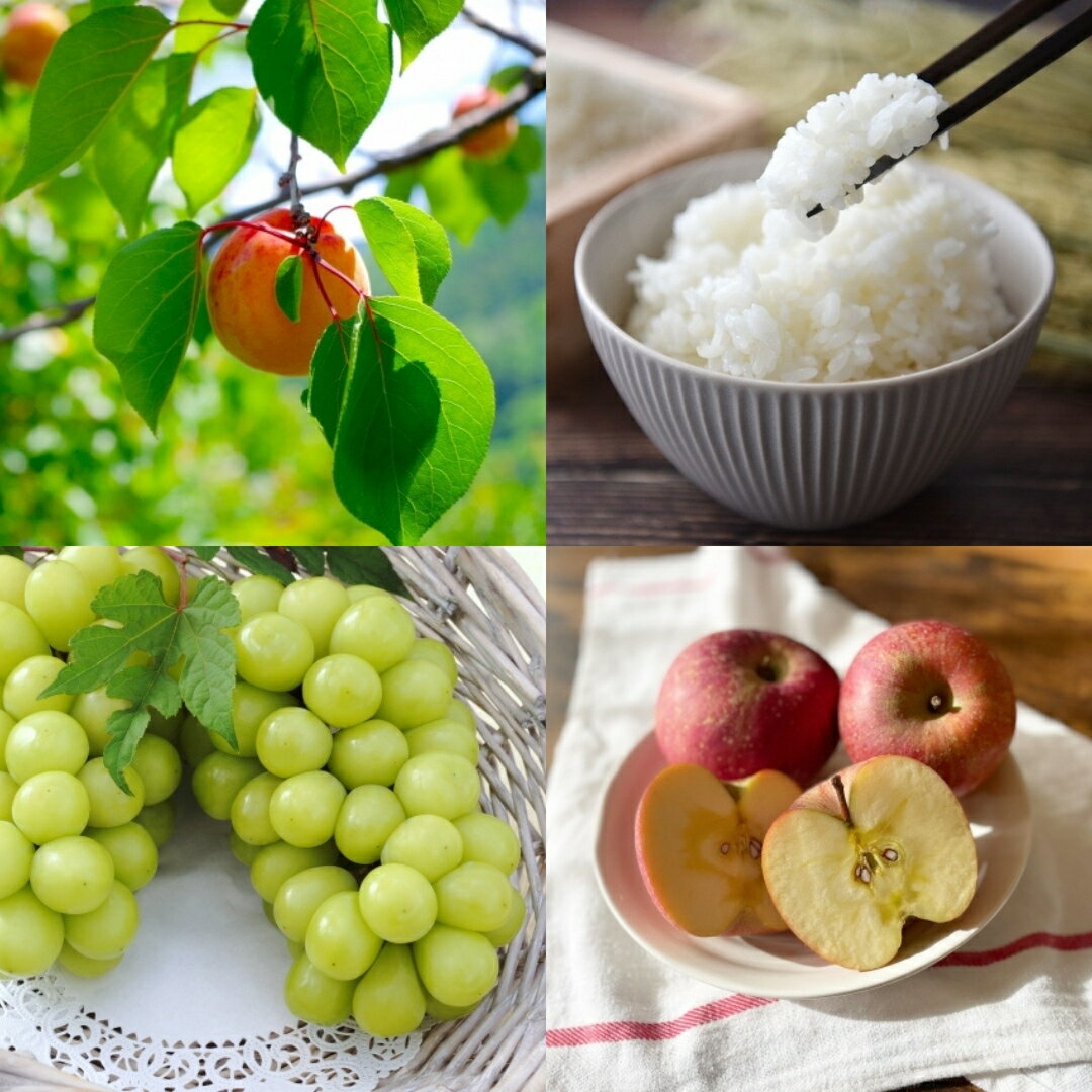 【ふるさと納税】【定期便】《千曲の四季だより》旬の味覚とお米の年4回定期便 ハーコット2kg・シャインマスカット2kg・コシヒカリ米 5kg・サンふじ5kg｜ 果物定期便 フルーツ定期便 白米 千曲市 長野県 信州