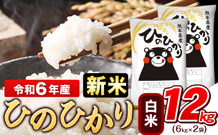 令和6年産 新米 早期先行予約受付中 ひのひかり 白米 12kg (6kg×2袋)《11月-12月頃出荷》熊本県産 ひの 白米 精米 米 こめ ヒノヒカリ コメ お米 おこめ