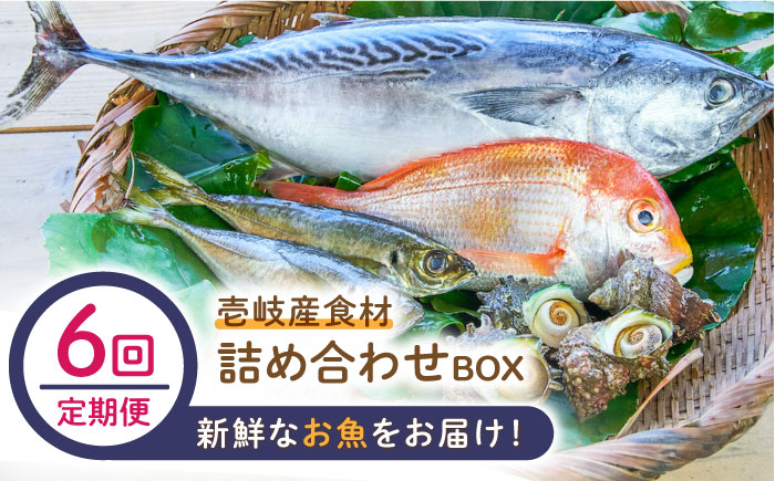 
【全6回定期便】壱岐産食材詰め合わせBOX「魚」 [JBF022] 132000 132000円 12万円
