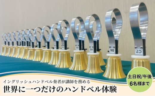 柏市発・世界に1つだけのハンドベル体験（土日祝・午後・6名様まで） 〈 音楽体験 チケット ふるさと納税 〉 [№5412-0477]