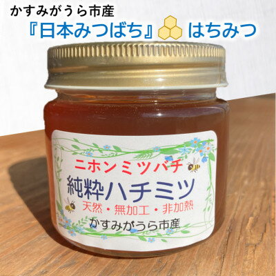 【ふるさと納税】かすみがうら市産『日本みつばち』の純粋はちみつ 150g×2個【1481289】