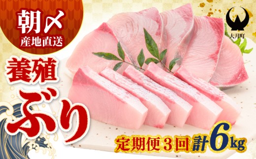 【定期便】ぶり 2kg × 3回 養殖 冷蔵 刺身 ブリ 鰤 お刺身 たたき 照り焼き ぶり大根 ぶりしゃぶ ブリトロ 生食 海鮮丼 海鮮 旬 ブロック フィレ ギフト 国産 贈答用 人気 サンライズファーム さしみ 鍋 丼 寿司 カルパッチョ 新鮮 年末 正月 贈答 お歳暮 高知 高知県 大月町
