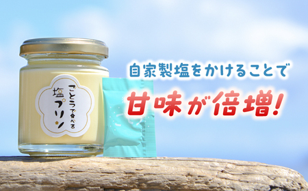 【全12回定期便】【ヒルナンデスで紹介されました！】ごとうで食べる 塩プリン 6個 椿スプーン付き【虎屋】[RBA050]