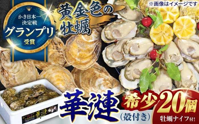 限定20セット！「かき日本一決定戦」グランプリ受賞　諫早市小長井牡蠣　華漣 (殻付き)20個入り カキナイフ・軍手付き / 牡蠣 かき カキ 小長井牡蠣 貝 / 諫早市 / 諫早湾漁業協同組合 [AHBJ009]