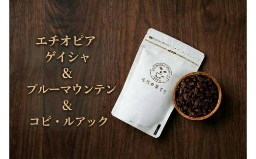 【豆】＼焙煎当日に発送／エチオピアゲイシャ200g ＆ ブルーマウンテン200g ＆ コピ・ルアック100g 計500g 浅煎り ウォッシュド 自家焙煎 コーヒー豆 コーヒー粉 コーヒー 珈琲 コーヒーギフト 挽き立て プレゼント ギフト 贈り物 焙煎幸房”そら” 岐阜県 大垣市