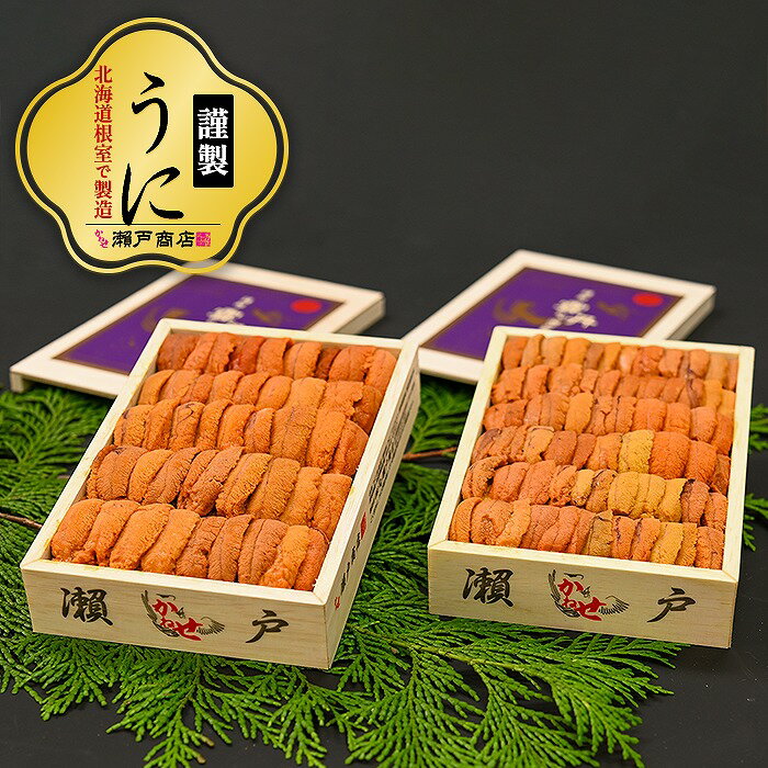 【ふるさと納税】エゾバフンウニ(赤系)240～250g×2折 D-29009