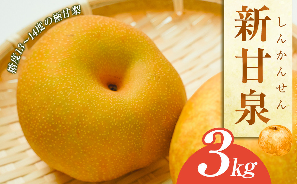新甘泉（しんかんせん３ｋｇ（ＪＡ）　※2026年8月中旬～9月上旬頃に順次発送予定 313726_AT008