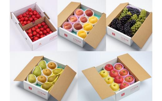 08-03-042　いろんな品種を楽しめる いろどりフルーツプラン全5回