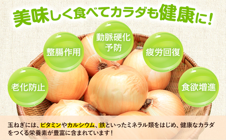 玉ねぎ つなぎコハク玉ねぎ 5kg《4月中旬-5月中旬出荷》熊本県 葦北郡 津奈木町 つなぎ琥珀玉ねぎプロジェクト 野菜 たまねぎ