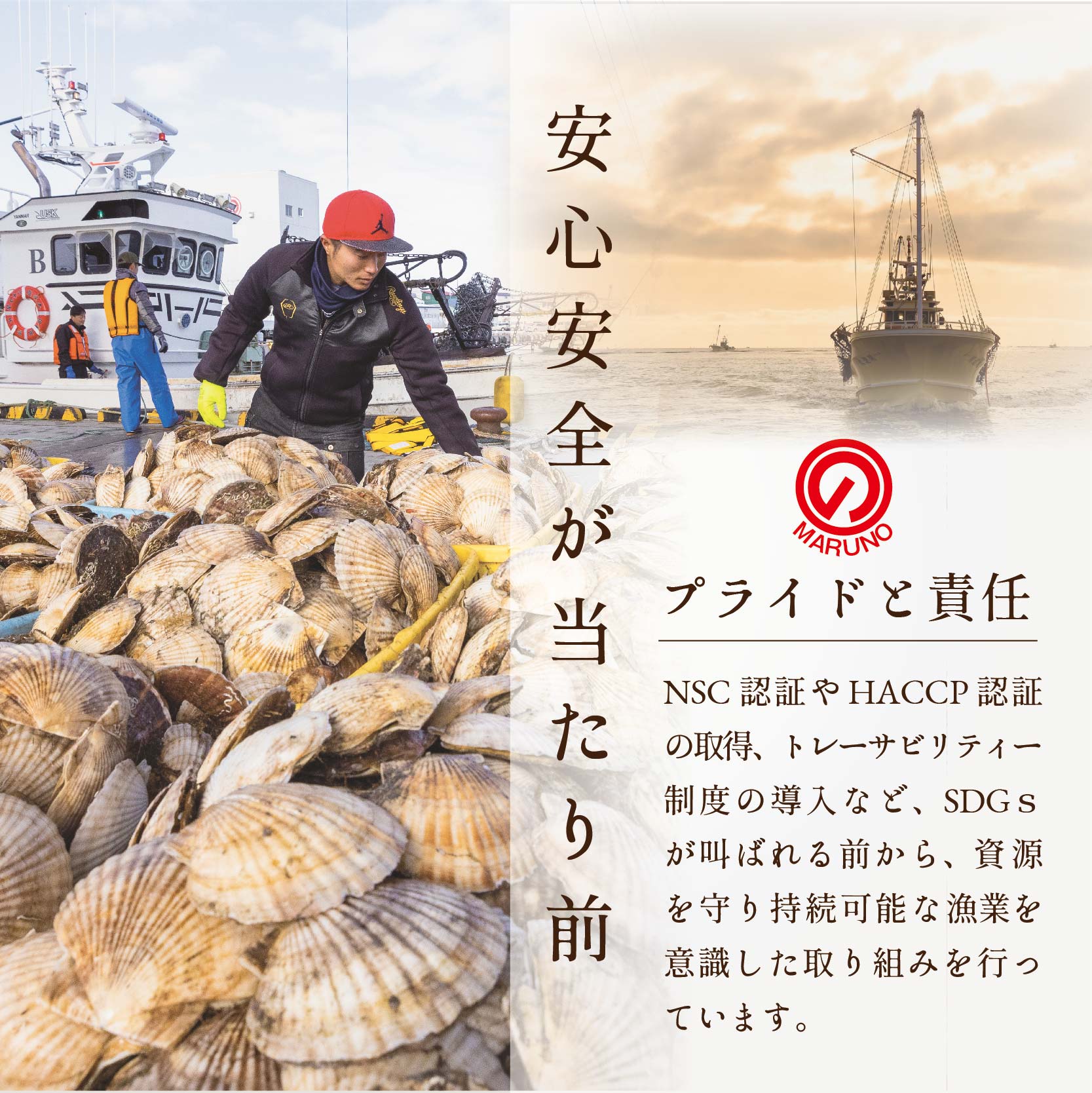 ★NA北海道 野付産  冷凍ホタテ 貝柱 中粒（3Sサイズ）ホタテ500ｇ【be018-0221】_イメージ4