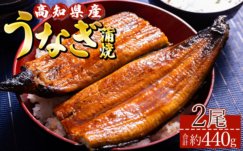 高知県産養殖うなぎ蒲焼き 2尾(合計約440g) ss-0043