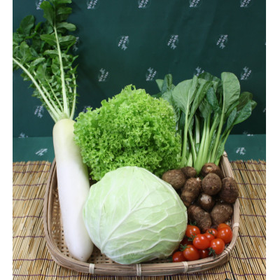 
野菜セット 「大地の恵みセット」6～7種 +古代米バウムクーヘン【1080582】
