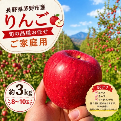 旬の品種お任せ【訳アリ】茅野市産りんご3kg(8～10玉)【配送不可地域：離島・沖縄】【1780258】