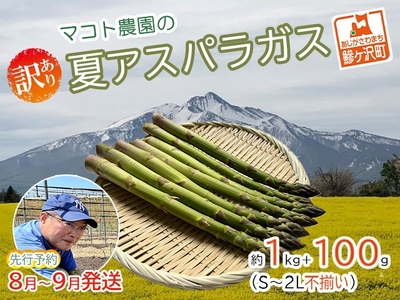 アスパラガス 夏採り 訳あり マコト農園 青森県産 アスパラガス【約1kg＋100g 約40本 S～2L】【先行予約】