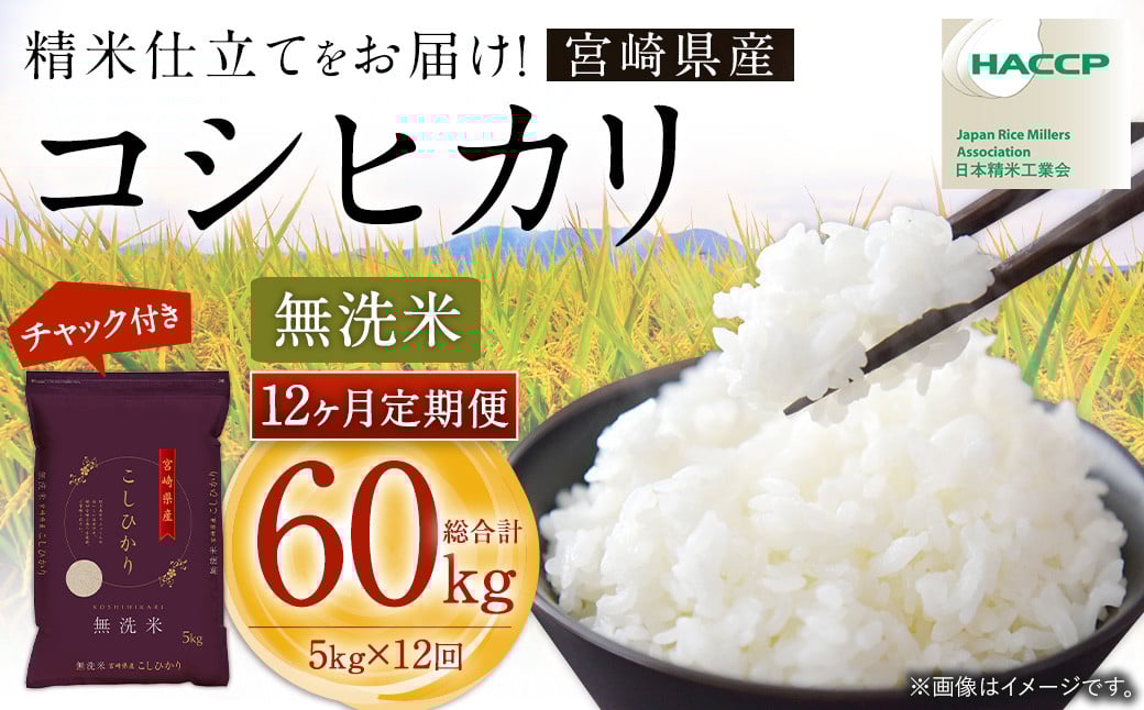 【12か月定期便】＜令和7年産 宮崎県産コシヒカリ （無洗米） 5kg チャック付き米袋 12か月定期便＞2025年9月上旬以降順次 第1回目発送（12月は中旬頃） こしひかり コシヒカリ お米 米 コメ 国産 定期便