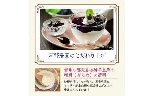 河野農園の無添加ブルーベリーソース150g×5本 