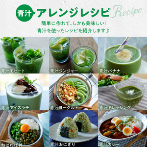 ＜2ヶ月に1度、6回送付定期便＞大麦若葉粉末（154包)、乳酸菌+大麦若葉粉末（7包) [027Y41-T]
