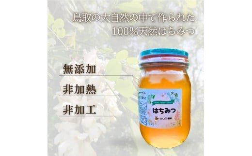 ※25.4.1一時停止※944.天然はちみつ　アカシア　600g×1本  蜂蜜 ハチミツ ハチ蜜 鳥取県産◇日本全国配送可能  お申し込みから14日以内に発送