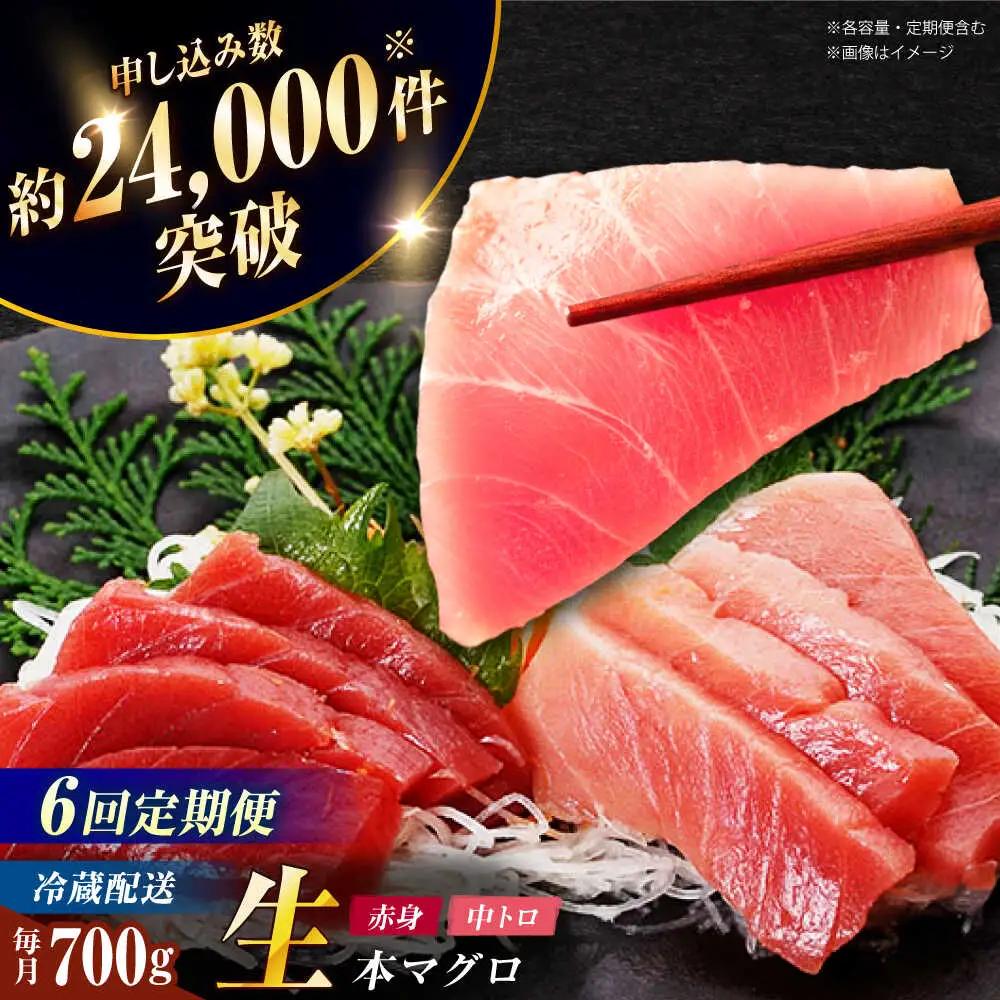 【全6回定期便】五島列島産養殖生本かみまぐろ 赤身 中トロ 計約700g[RBP068] 本マグロ 本まぐろ 定期便 本マグロ 本まぐろ 定期便 本マグロ 本まぐろ 定期便九州 長崎