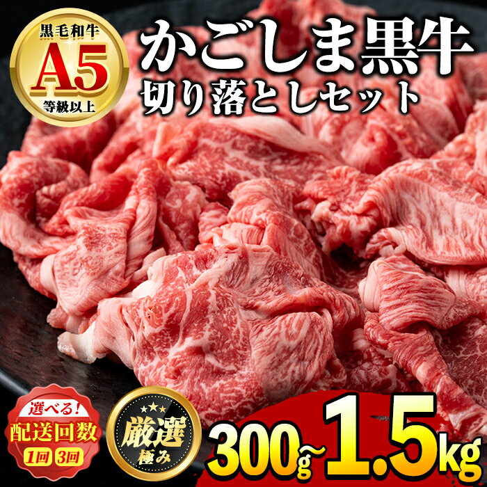 【ふるさと納税】鹿児島県産黒毛和牛！A5等級の切り落とし＜約300g / 約500g / 定期便・約500g×3回＞ 牛肉 肉 切落し 切り落し 和牛 冷凍 国産 お肉 牛丼 野菜炒め カレー 冷凍【前田畜産たかしや】