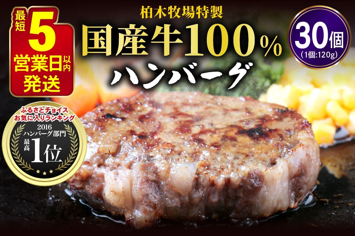 
            [ジュワッと肉汁まで美味い！] 柏木牧場特製 国産牛100%ハンバーグ (120g×30個)｜伊勢原市 牛肉 特製 ギフト 神奈川県 贈り物 人気 お土産 正月 肉の日 バーベキュー パーティ 冷凍便 惣菜 肉 焼くだけ [0069]
          