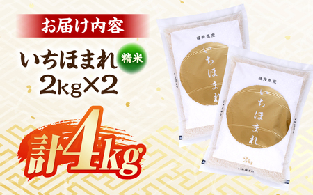 【2026年1月中旬より順次発送】福井県産 いちほまれ 2kg×2袋 合計4kg 福井県 ブランド米 / 白米 精米 甘みとつや 小浜市 / シマダ農園[BFAV013]