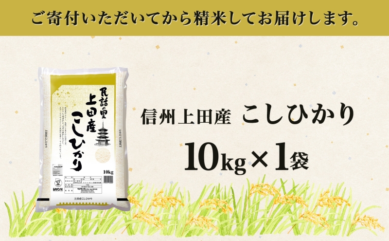 令和6年産 長野県 信州 上田市産 こしひかり 10kg×1袋 計10kg 精米 白米 ブランド米  銘柄米 コシヒカリ ご飯 ライス お弁当 おにぎり 主食 国産 日本産 和食 お取り寄せ