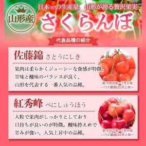 さくらんぼ 佐藤錦 厳選2Lサイズ以上500g入り1箱 【令和7年産先行予約】FU20-123 くだもの 果物 フルーツ 山形 山形県 山形市 2025年産