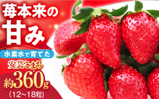 【1月5日～3月20日順次発送】水素水で育ったいちご 安芸こまち 三次市/田中電機工業[APBI001] いちご イチゴ フルーツ ストロベリー 苺