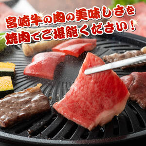【令和8年7月発送】宮崎牛霜降り焼肉 700g (350g×2)【肉 牛肉 国産 宮崎県産 宮崎牛 黒毛和牛 和牛 焼肉 BBQ 4等級  A4ランク 肩ロース E11122】