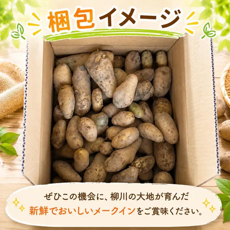 じゃがいも 訳あり 4kg TNK013 じゃがいも