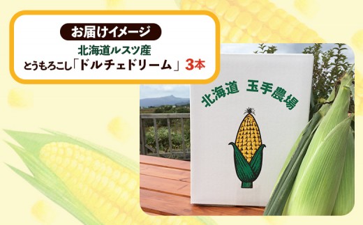 【8月～9月発送予定・数量限定】（生産者直送）玉手農場産とうもろこし「ドルチェドリーム」3本（オンライン決済限定）