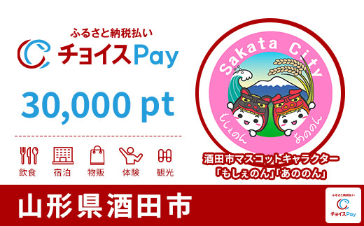 
            酒田市チョイスPay 30,000pt【会員限定のお礼の品】
          