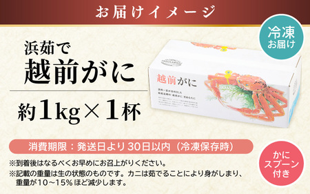 【先行予約】越前がに 大サイズ 約1kg  × 1杯【冷凍】【2026年11月下旬以降順次発送予定】急速冷凍 新鮮 越前がに [m36-l003]