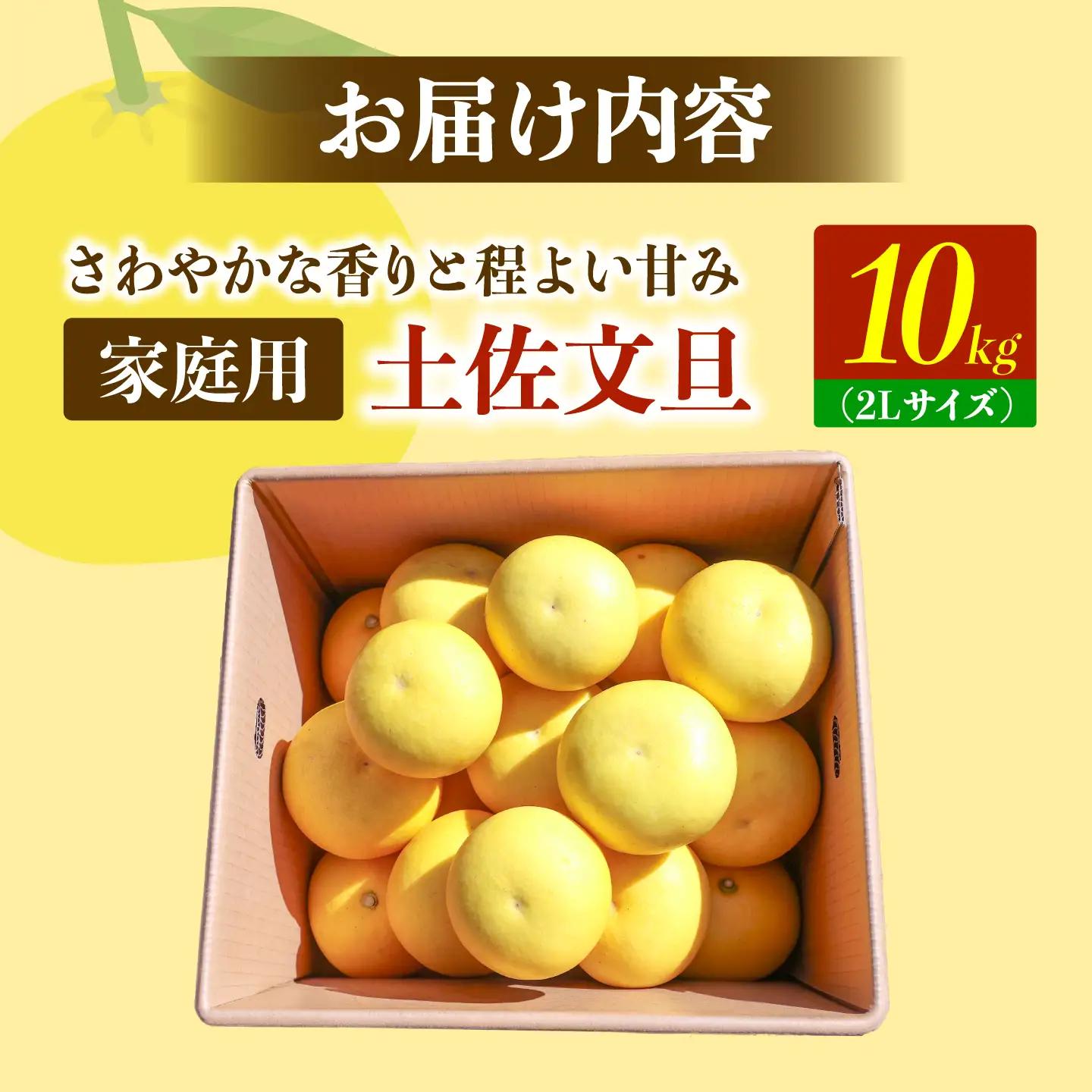 【先行予約】土佐文旦の創始 宮地文旦園の土佐文旦 家庭用2L 約10キロ 20～22個入り 10kg〈2027年3月上旬～4月下旬〉 高知県 土佐市【宮地文旦園】[BQBP006]