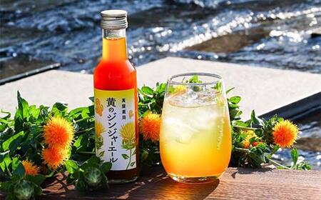 【萬屋薬局】黄のジンジャーエール 180ml×2本 F2Y-6995