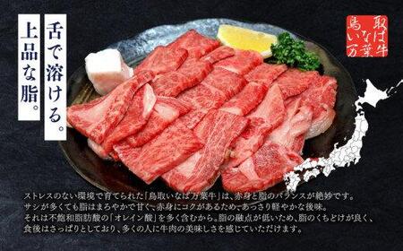 鳥取いなば万葉牛　焼肉用カルビセット500g
