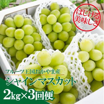 ふるさと納税 真庭市 【発送月固定定期便】シャインマスカット(3-5房)を楽しむ満足便!3便計6.0kg〜(岡山産)全3回