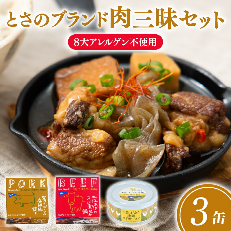【ふるさと納税】とさのブランド肉三昧set 3缶セット 3種×各1缶 四万十ポーク 土佐 あかうし 土佐はちきん 豚肉 豚 おかず プレゼント ギフト 贈答用 贈り物 お中元 お歳暮 肉 ポーク 酒の肴 日常食 ご褒美 惣菜 アレンジ 高級 缶詰め かんづめ 詰