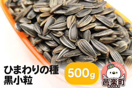 ひまわりの種・黒小粒 500g×1袋 サイトウ・コーポレーション 飼料