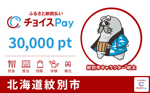 
            紋別市チョイスPay 30,000pt【会員限定のお礼の品】
          