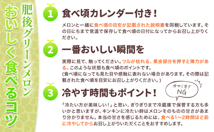 【先行予約】肥後グリーンメロン 2玉 2L以上 通常箱【メロンドーム】 有限会社七城町特産品センター《5月中旬-6月中旬頃出荷》熊本県 菊池市 メロン グリーンメロン 果物 フルーツ 熊本県産 送料無