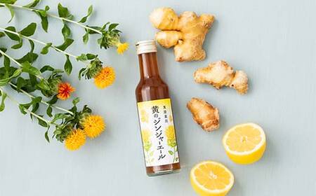 【萬屋薬局】黄のジンジャーエール 180ml×2本 F2Y-6995