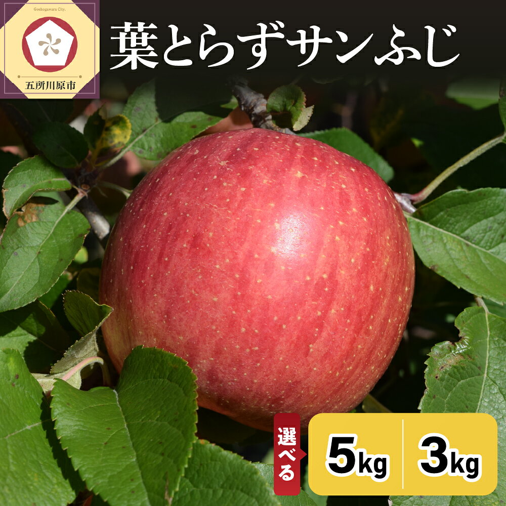 【ふるさと納税】★4.67 レビュー高評価★ 葉とらず サンふじ 内容量が選べる : 3kg / 5kg 《 配送時期が選べる : 11月～12月》 / りんご 林檎 ふじ 果物 フルーツ 秋 旬 人気 アップル 青森県 五所川原市