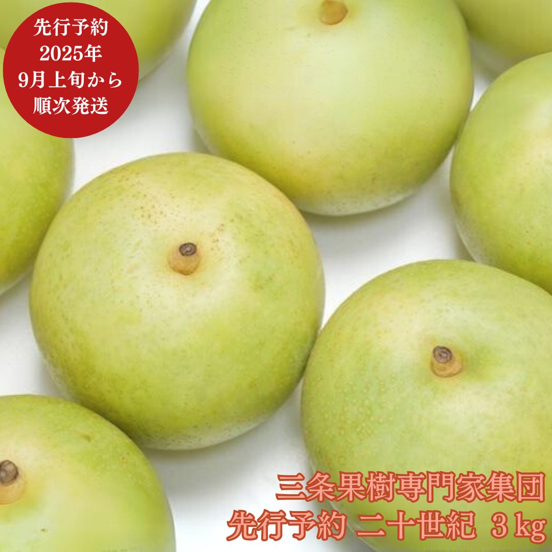 【ふるさと納税】先行予約 和梨 二十世紀 約3kg [9月上旬から発送予定] 令和7年度 新潟県 三条市産 梨 [三条果樹専門家集団] 【016P034】